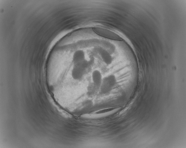 X0000075811053200610151425