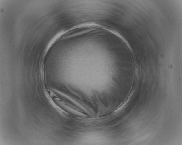 X0000075811054200610151425