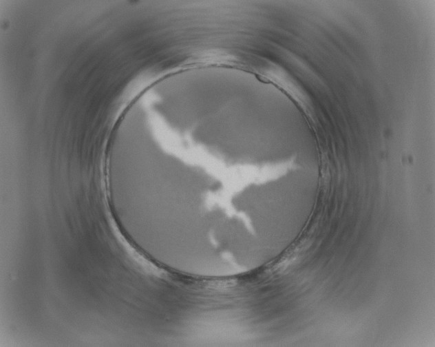 X0000075811055200610151425