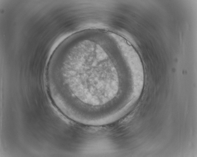 X0000075811056200610151425