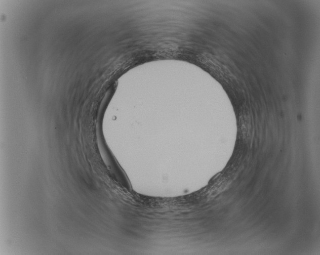 X0000075811057200610151424