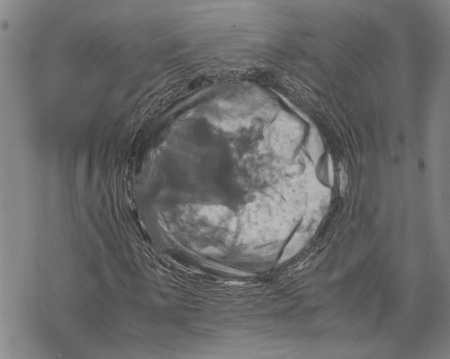 X0000075811059200610151424