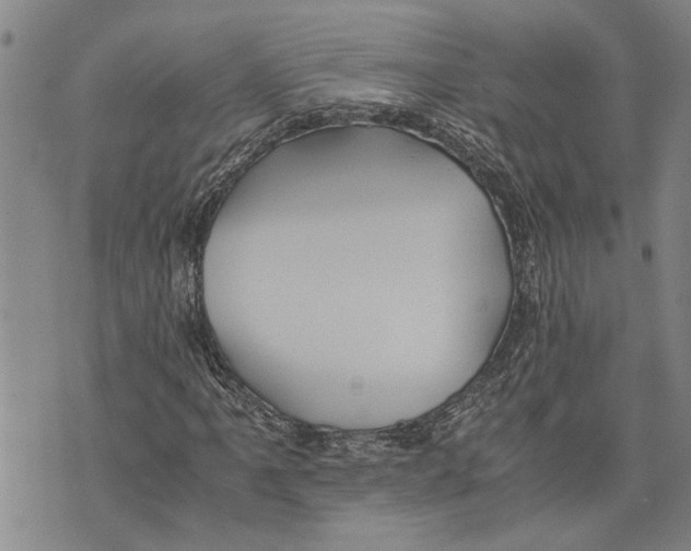 X0000075811061200610151424