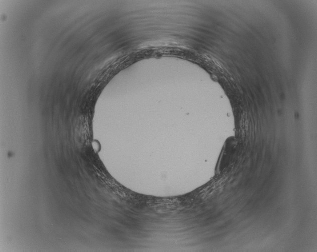 X0000075811062200610151424