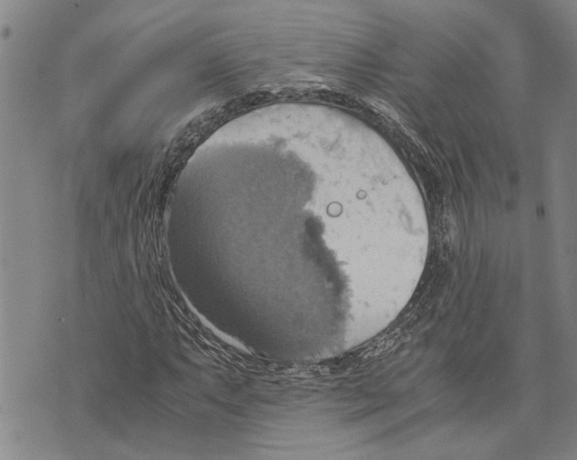 X0000075811063200610151424