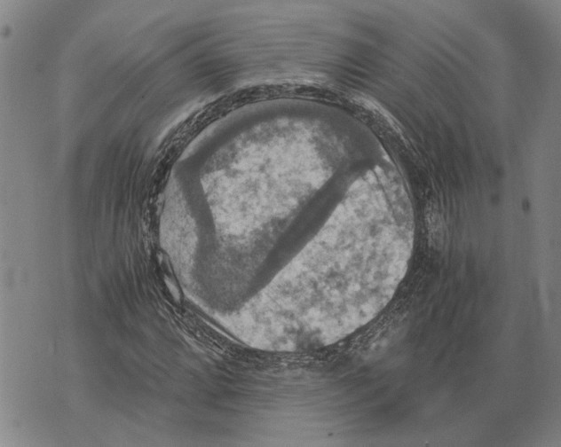 X0000075811064200610151424