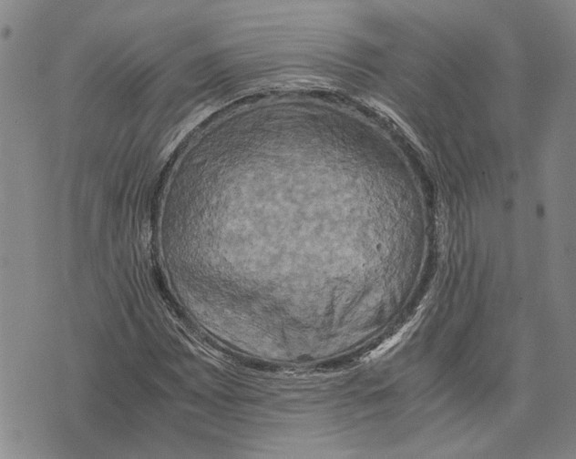 X0000075811065200610151424