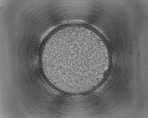 X0000075811066200610151424