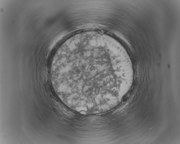 X0000075811067200610151424