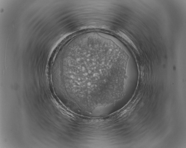 X0000075811068200610151424