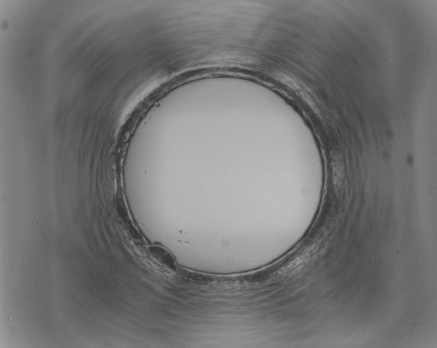 X0000075811069200610151424