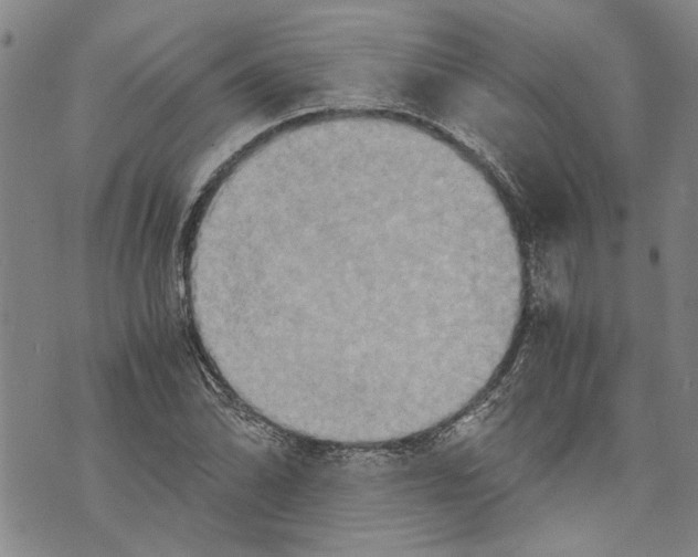 X0000075811070200610151424