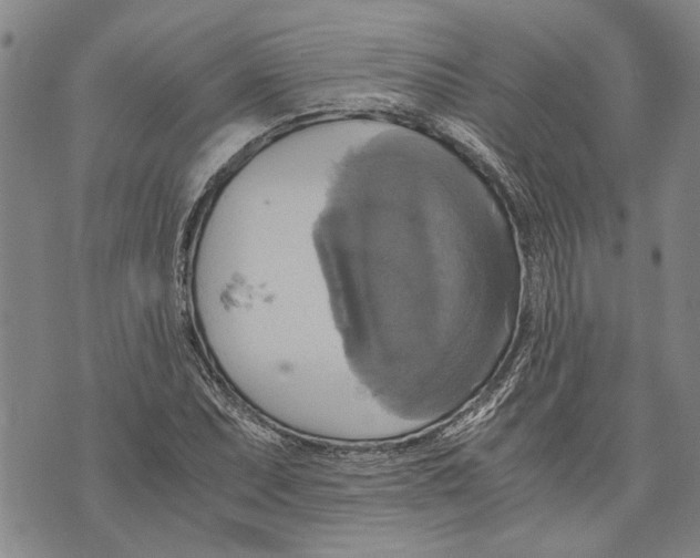 X0000075811071200610151424