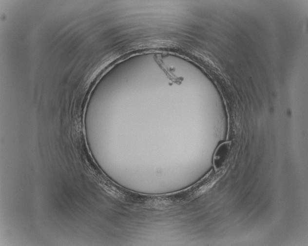 X0000075811073200610151424