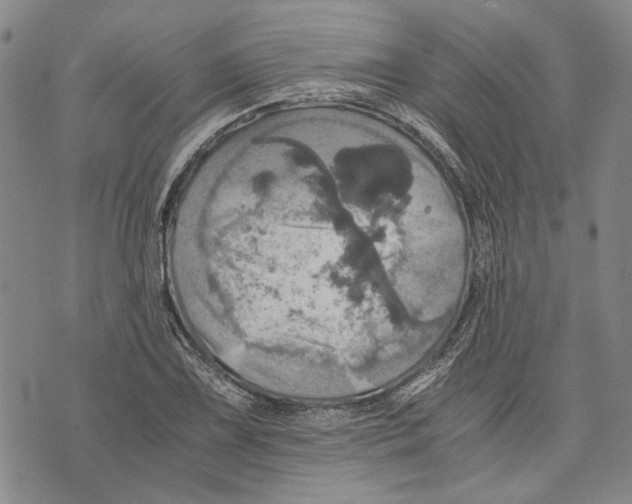 X0000075811075200610151424