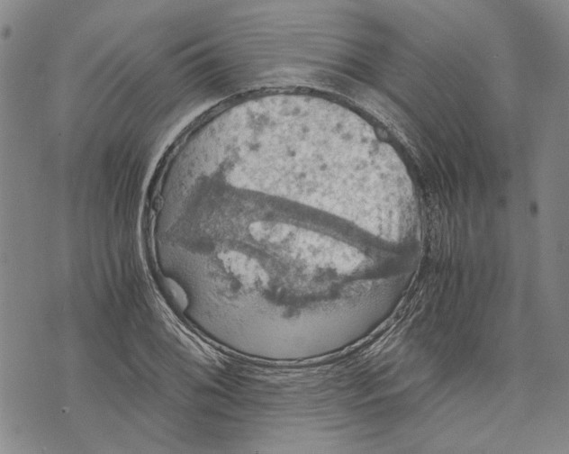 X0000075811076200610151424