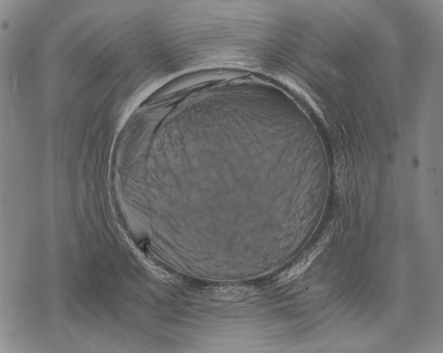 X0000075811077200610151424