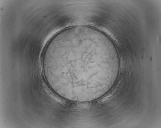 X0000075811078200610151424