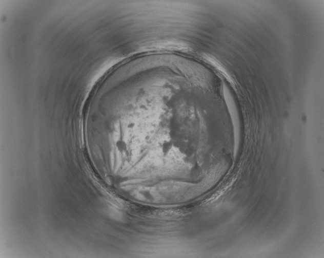 X0000075811079200610151424