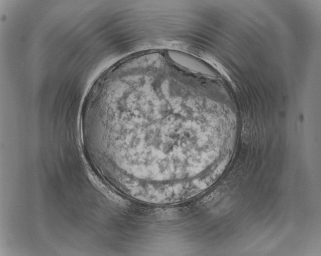 X0000075811080200610151424