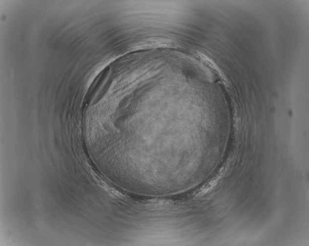 X0000075811081200610151424