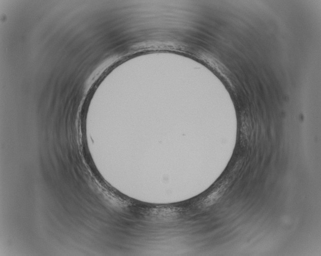 X0000075811082200610151424