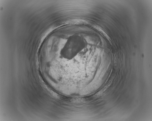 X0000075811083200610151424