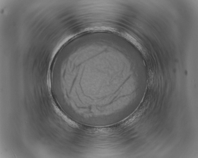 X0000075811084200610151424