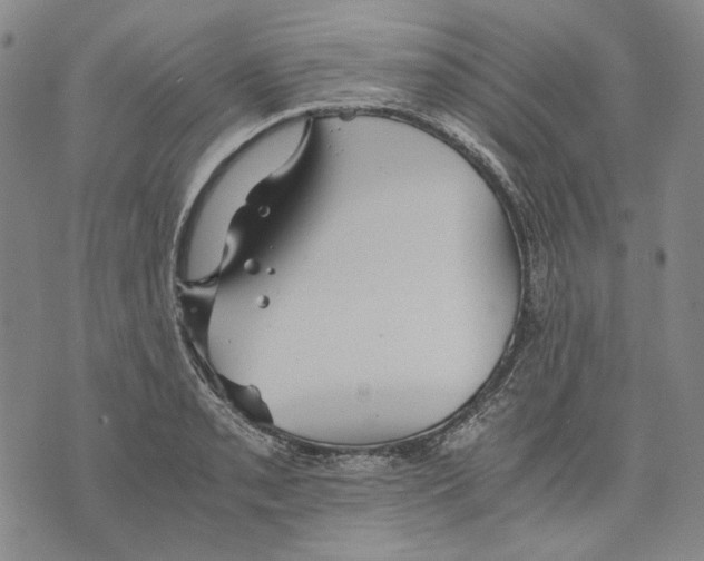 X0000075811085200610151424