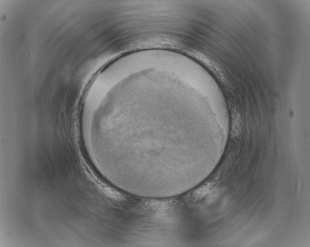 X0000075811086200610151424