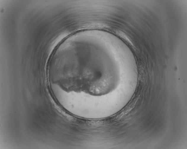 X0000075811087200610151424