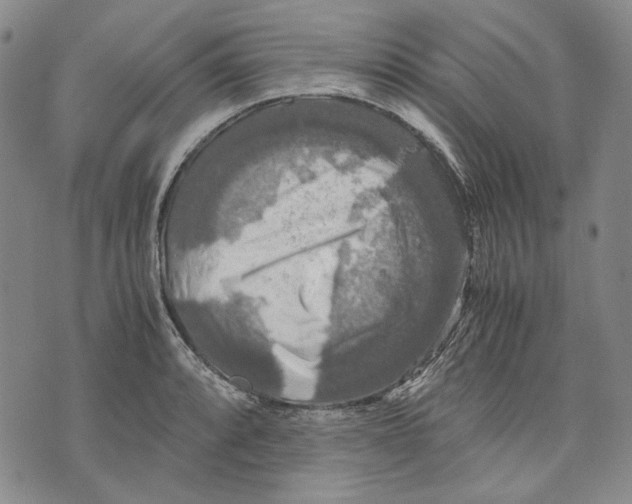 X0000075811088200610151424