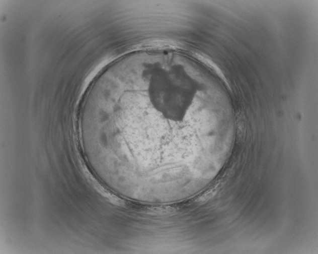 X0000075811091200610151424