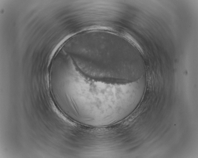 X0000075811092200610151424