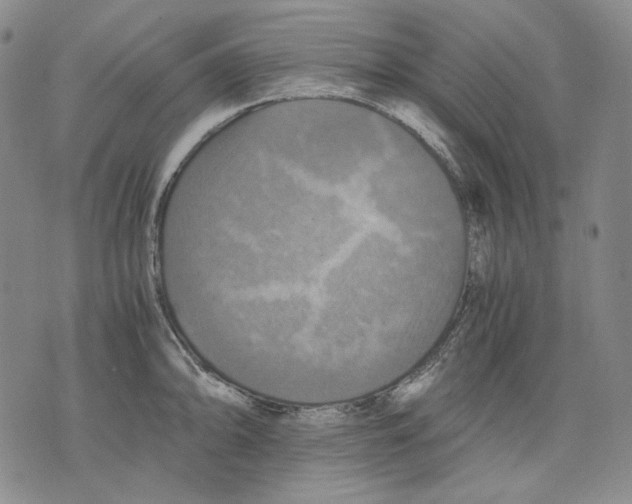 X0000075811094200610151424