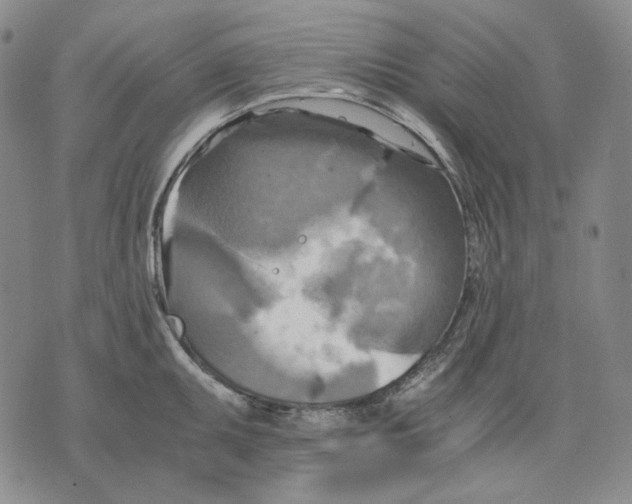 X0000075811095200610151424