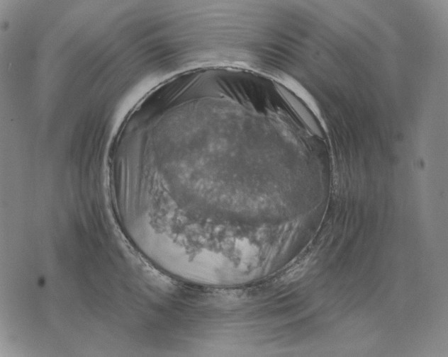 X0000075811096200610151423