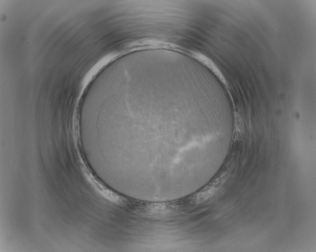 X0000075811098200610151423