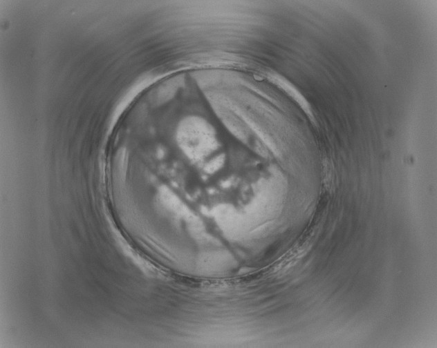 X0000075811099200610151423