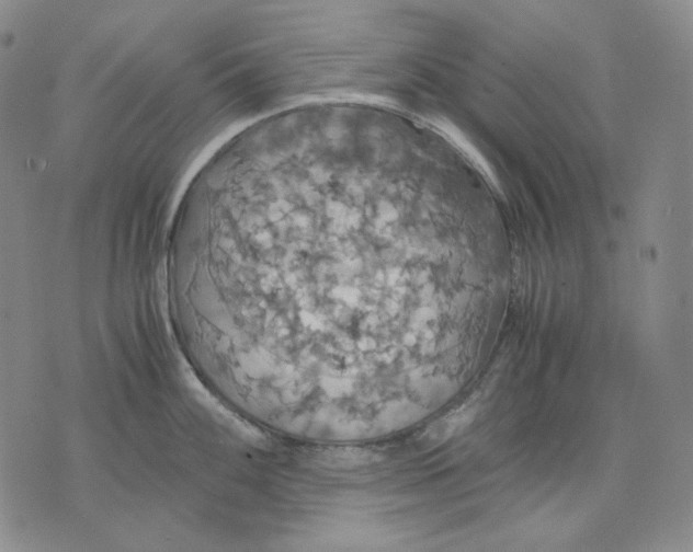 X0000075811100200610151423