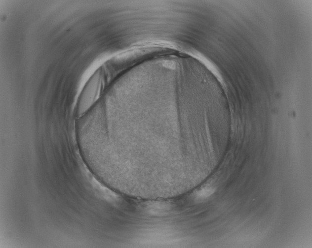 X0000075811102200610151423