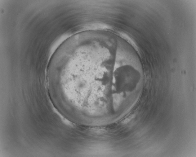 X0000075811103200610151423