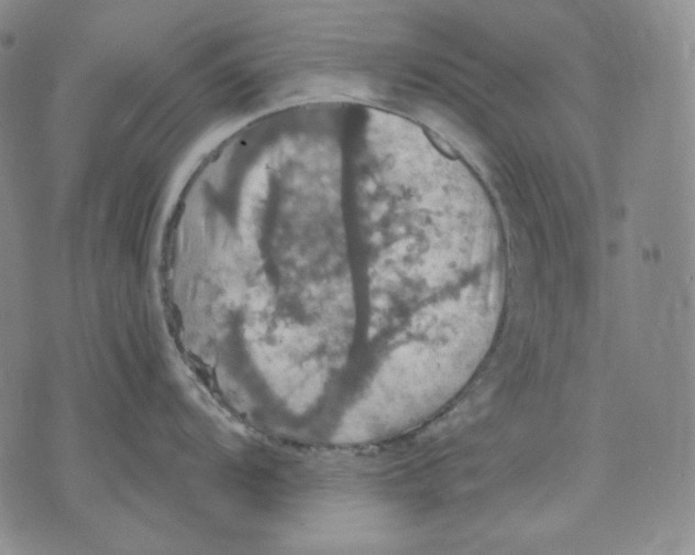 X0000075811104200610151423