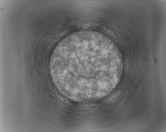 X0000075811105200610151423