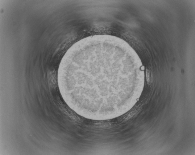 X0000075811107200610151423