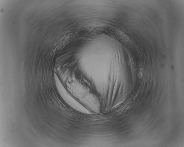 X0000075811108200610151423