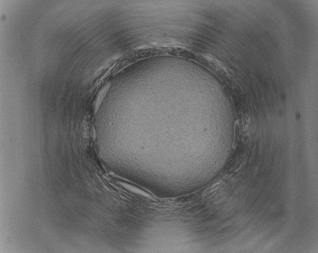 X0000075811110200610151423