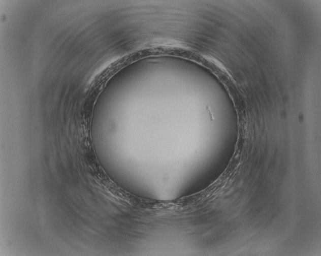 X0000075811112200610151423