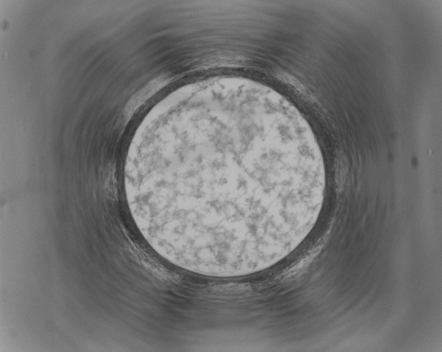 X0000075811113200610151423