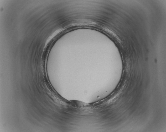 X0000075811114200610151423